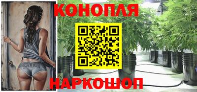 шишки Нальчик